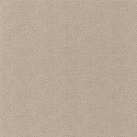 101561904