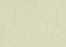Обои дерево в прихожей Sirpi Italian Silk 7 1VN 24810